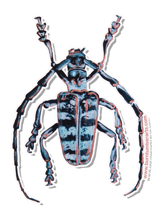 Beetle - Sticker