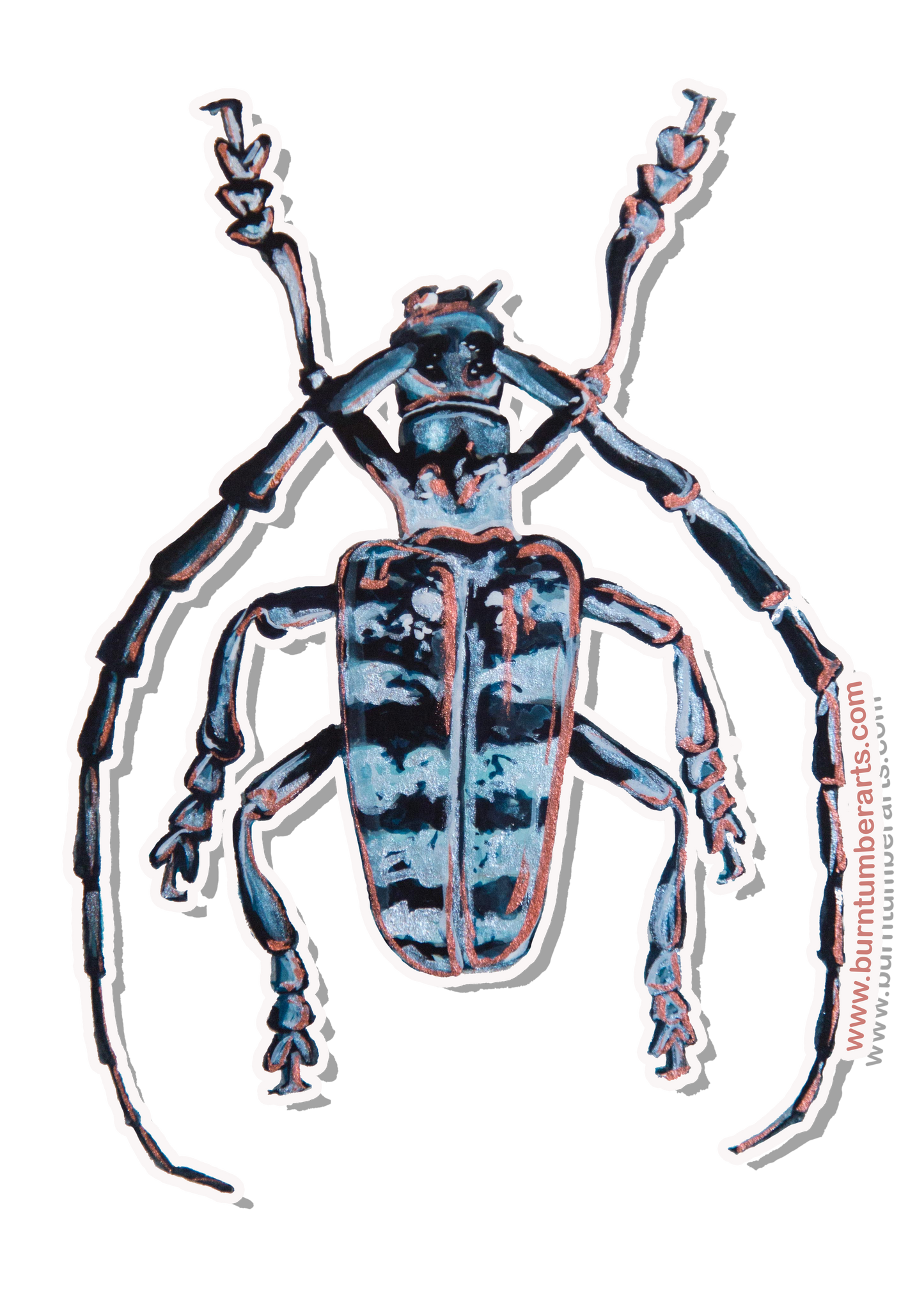 Beetle - Sticker