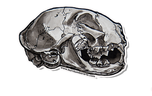 Cat Skull 1 - Sticker
