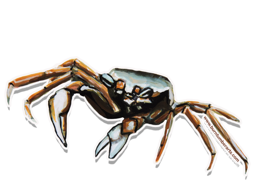 Crab - Sticker