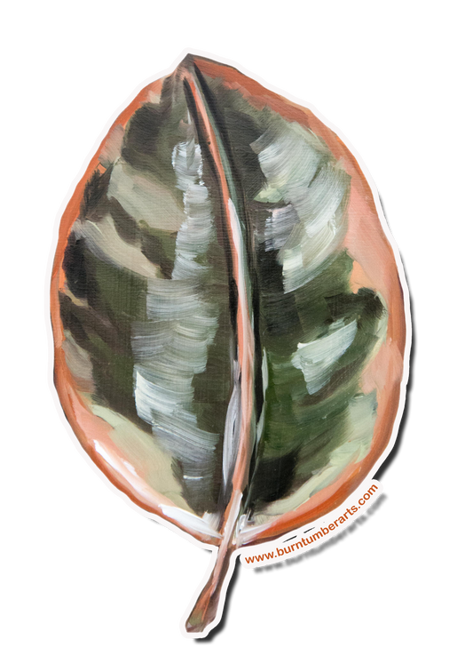 Ficus Elastica Leaf - Sticker