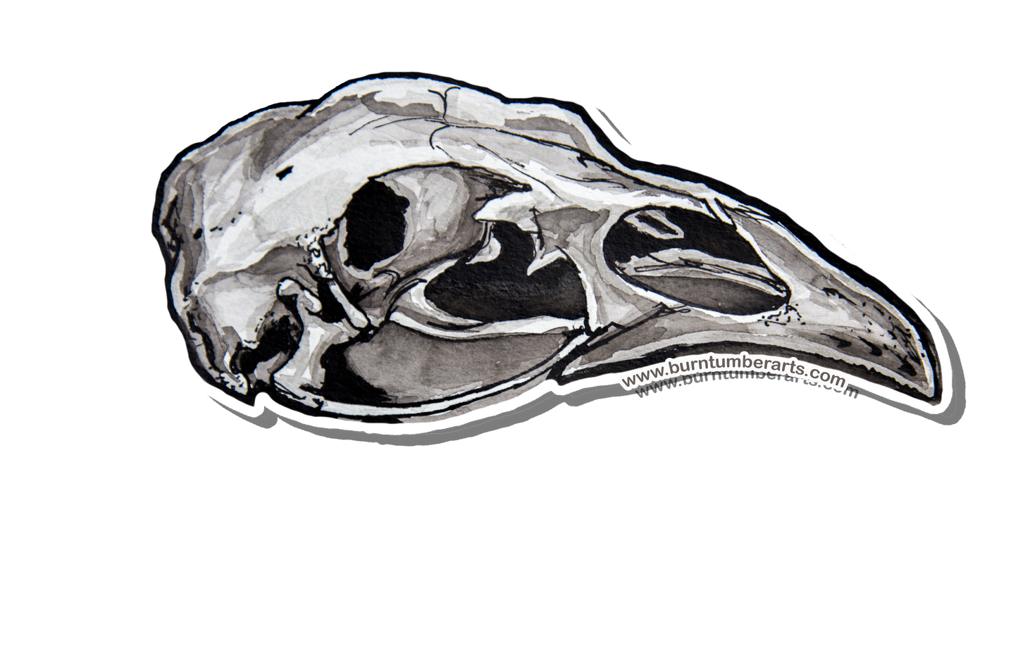 Turkey Skull - Sticker